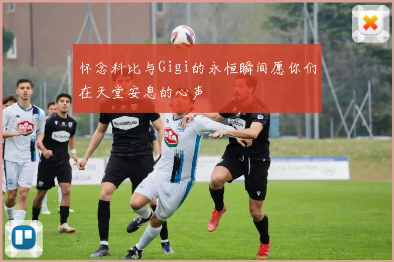 怀念科比与Gigi的永恒瞬间愿你们在天堂安息的心声