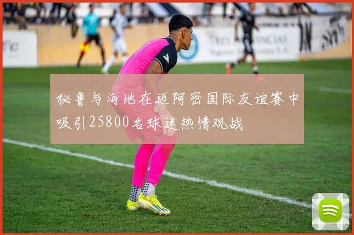 秘鲁与海地在迈阿密国际友谊赛中吸引25800名球迷热情观战